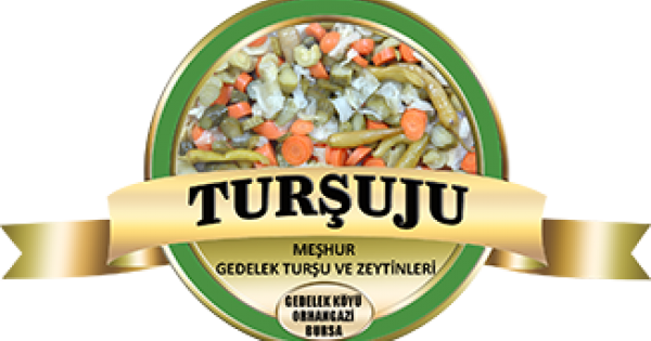 Tursuju.com │E